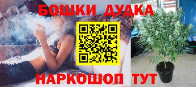 крисы Волжский