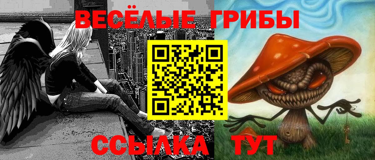 Псилоцибиновые грибы мицелий  Вход с VPN  Рославль  Галлюциногенные грибы Cubensis 