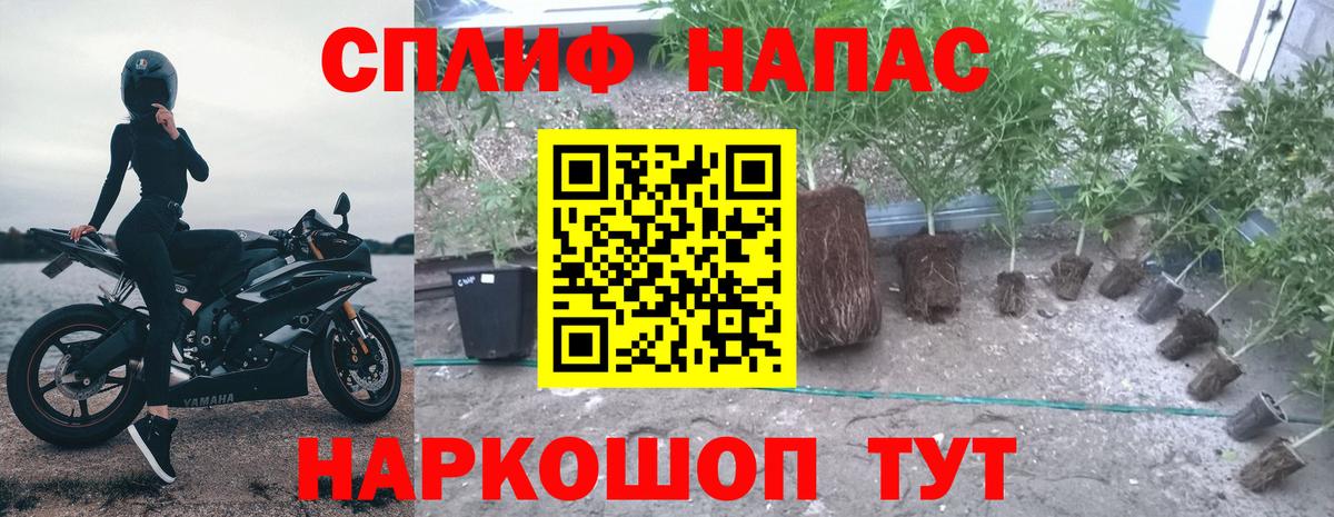 МАРИХУАНА тримм  Вход с VPN  Рославль  Каннабис планчик 